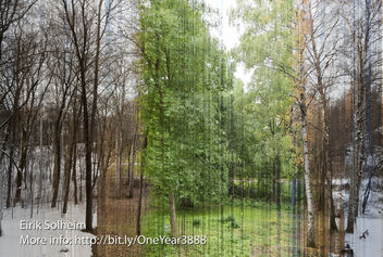 One year in one image - image gratuit #284731 