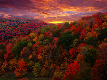 Fall Foliage Photography - Kostenloses image #285361