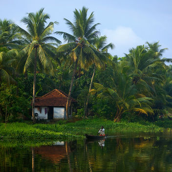 God's Own Country - Kerala - Kostenloses image #286421