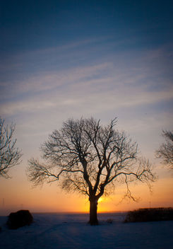 Sun rise on a beautiful day - image gratuit #287521 