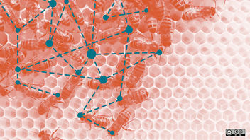 Network of bees - image #287821 gratis