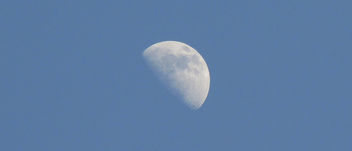Blue Sky Moon - Free image #292311