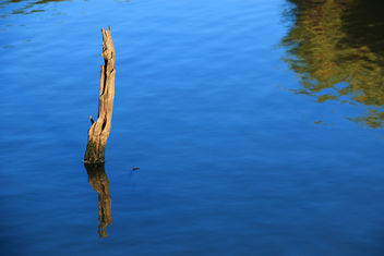 Orange River Reflections - image gratuit #295541 