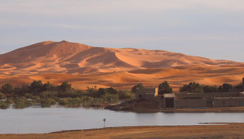 Morocco-Oasis - Kostenloses image #296751