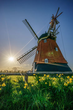 Bjerre windmill, Stenderup, Denmark - Travel photography - Free image #297461