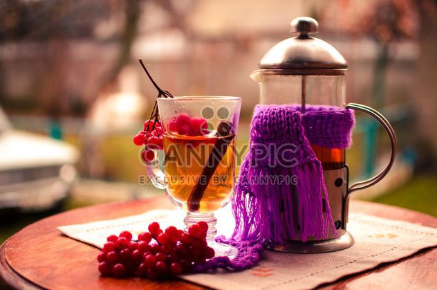 warm tea outdoor with vibrunum - image gratuit #302921 
