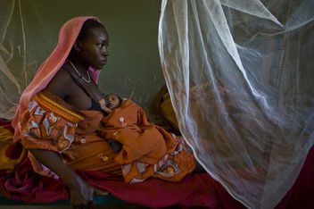 Darfurians refugees in Eastern Chad - бесплатный image #309311