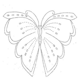old butterfly biggest - бесплатный image #309571