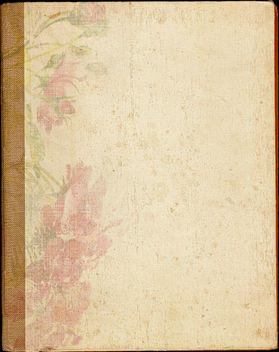 Old Book Back Texture - Kostenloses image #311171
