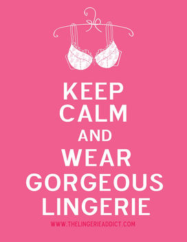 The Official Lingerie Addict Motto - Kostenloses image #315601