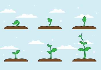 FREE PLANT GROWTH VECTOR - Free vector #317701