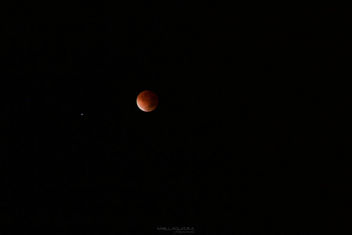 I think the moon were blush yesterday... <3 - Free image #318391