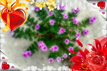 Pink clover flowers - image gratuit #318881 