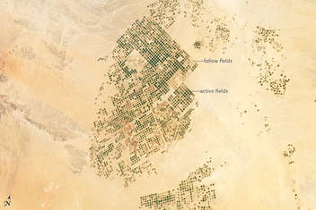 Agricultural Fields, Wadi As-Sirhan Basin, Saudi Arabia - бесплатный image #320951