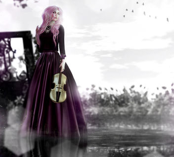 .the widow's song - Kostenloses image #324861