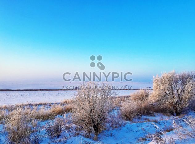 Field covered with snow - image gratuit #326511 
