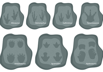 Dinosaurs Footprints - vector gratuit #327951 