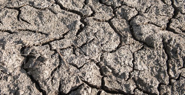 Dry cracked soil - Kostenloses image #328161
