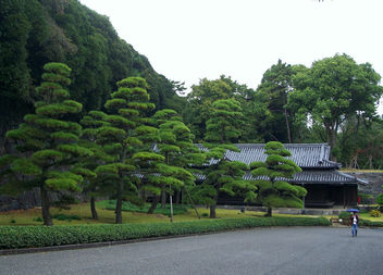 Japan (Tokyo) Imperial Palace Garden - Kostenloses image #328401