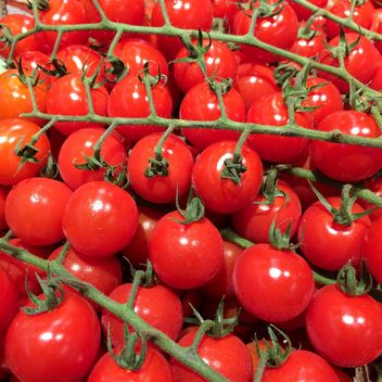 Fresh cherry tomatoes - image gratuit #329111 