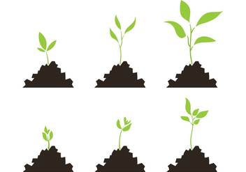 Vector Set of Plant Growth Scale - vector gratuit #329351 
