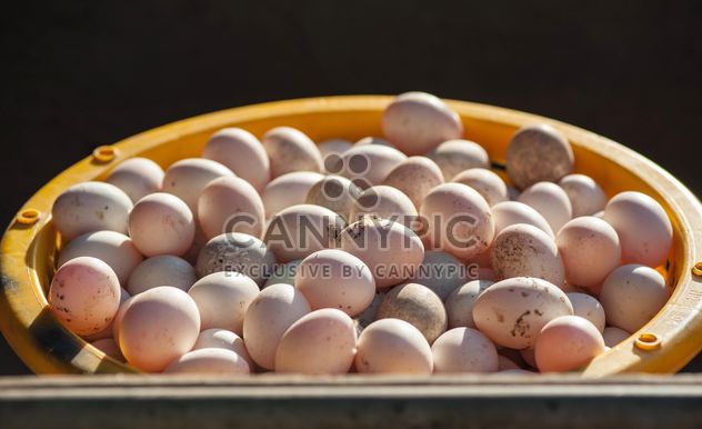 Duck eggs in yellow buckets - image #329661 gratis