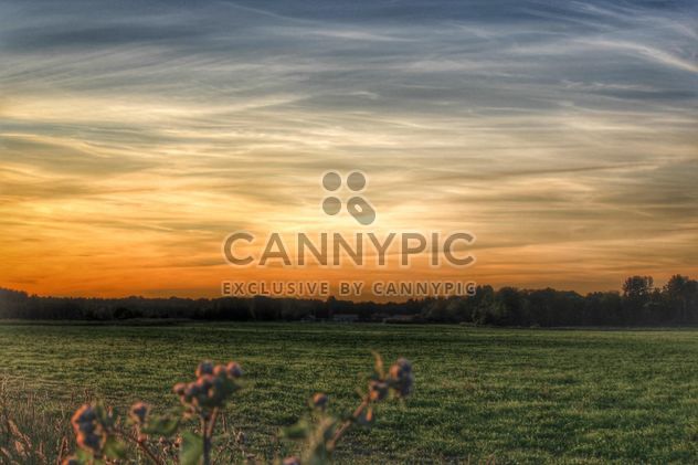 Sunset sky on a field - Free image #329951