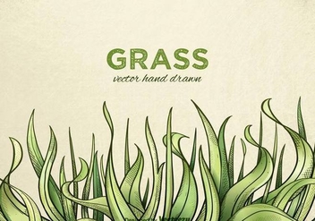 Free Hand Drawn Grass Vector - vector gratuit #330041 