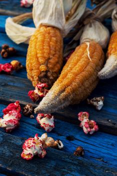 Close-up of corn cobs and popcorn on blue wooden background - бесплатный image #330451