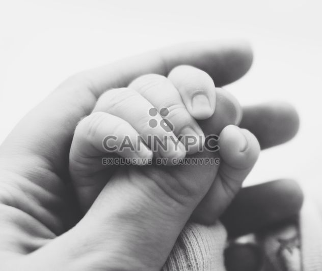 Hand of baby holding mother's hand - Kostenloses image #341331