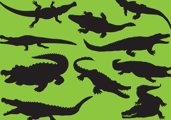 Gator Silhouettes - Free vector #342231
