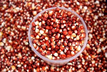 Red corn seeds in plastic cup - image gratuit #344561 