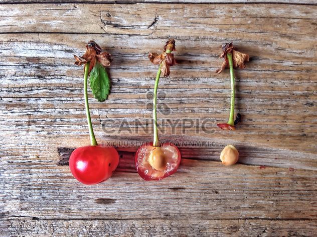 Cherries and bones on wooden background - Free image #344571