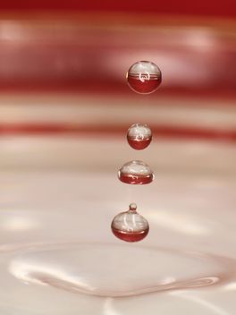 Background of water drops closeup - Free image #344631