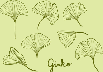 Hand Drawn Ginko Leaves - vector #345671 gratis