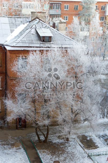 View on houses and trees in winter - бесплатный image #347001