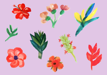 Free Tropical Flowers Vector Pack - Free vector #351871