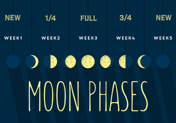 Moon Phase - vector gratuit #355651 