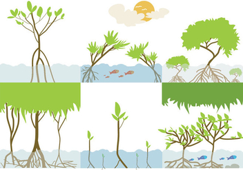 Mangrove Ecosystems Vector - Kostenloses vector #358631
