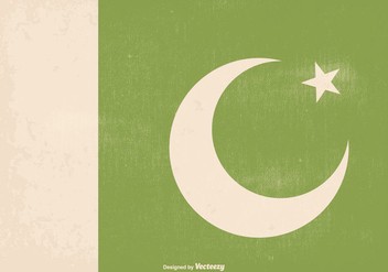 Awesome Retro Old Pakistan Flag - Free vector #369731