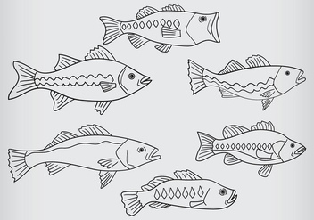 Bass Fish Vector - бесплатный vector #370211