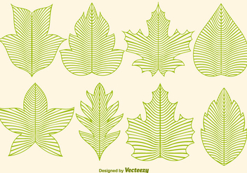 Vector Leaf Icons In Line Style - vector #376161 gratis