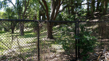 Happy Fence Friday #HFF - бесплатный image #376611