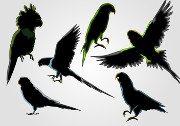Budgie Silhouette Vector Set - Free vector #378391