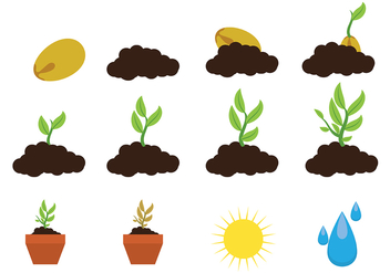 Grow Up Plant Icon Vector - vector gratuit #380261 