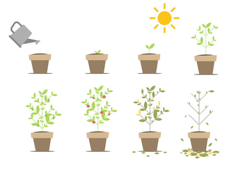 Free Grow Up Vector - Free vector #380411