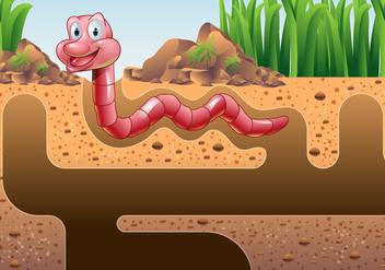 Earthworm Vector Wallpaper - Free vector #384111