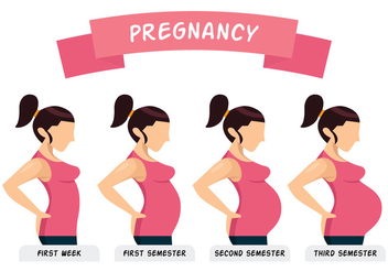 Pregnancy Illustration - Free vector #386041