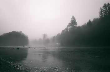 A Foggy Morning - Kostenloses image #388581