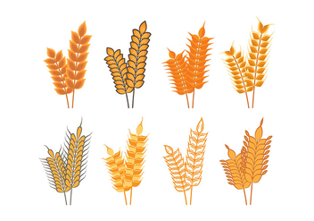 Harvest Oat Icons - vector gratuit #392161 